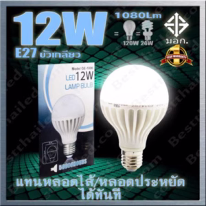 หลอด LED Bulb E27 Iwachi 12w